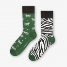 ZEBRA / ZIELONY