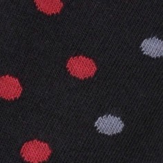 CZERŃ/DOTS